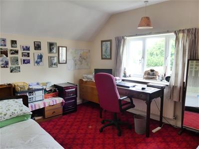 Picture 16